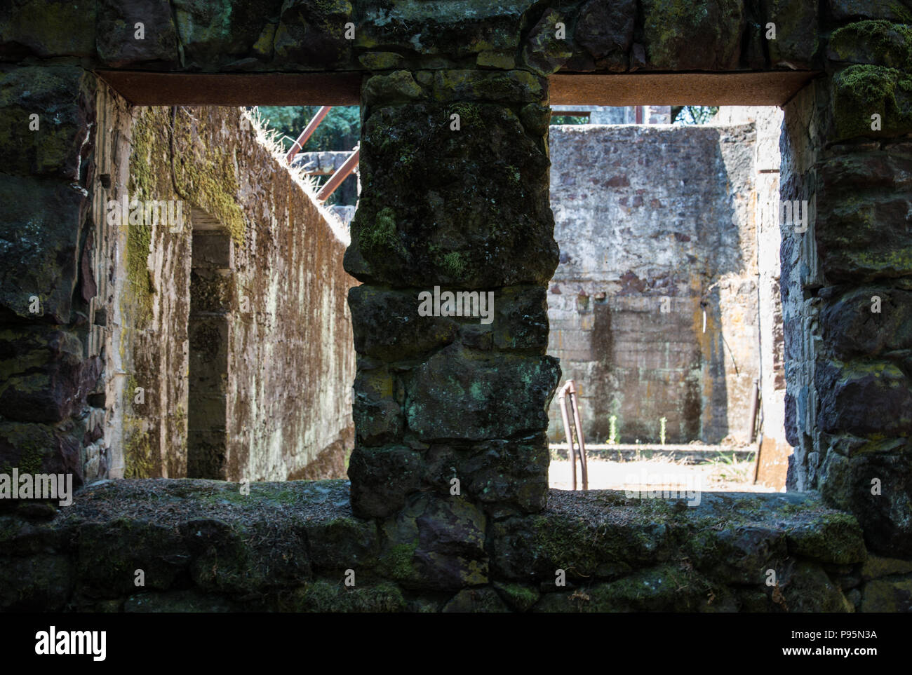 Sunlight streams through the window openings of Jack London's abandoned