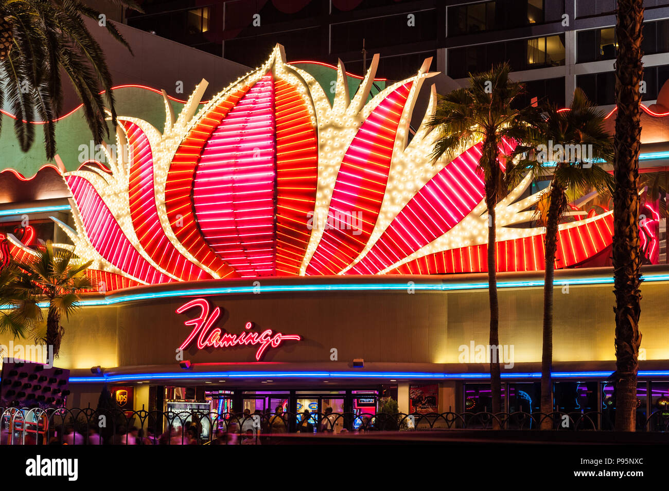 flamingo casino night club las vegas