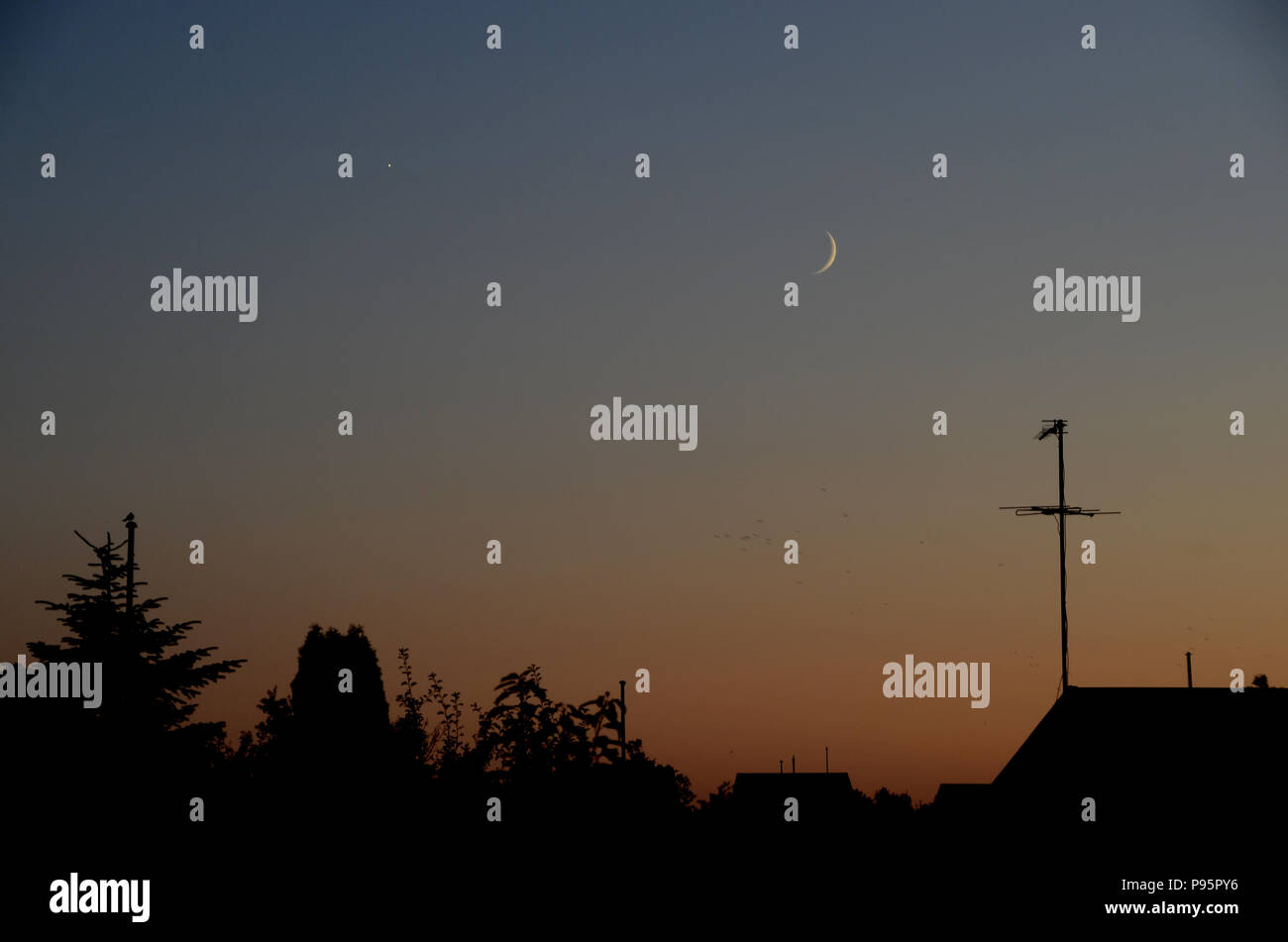 Conjunction between Moon and Venus seen in the evening in urban surroundings. Stock Photo