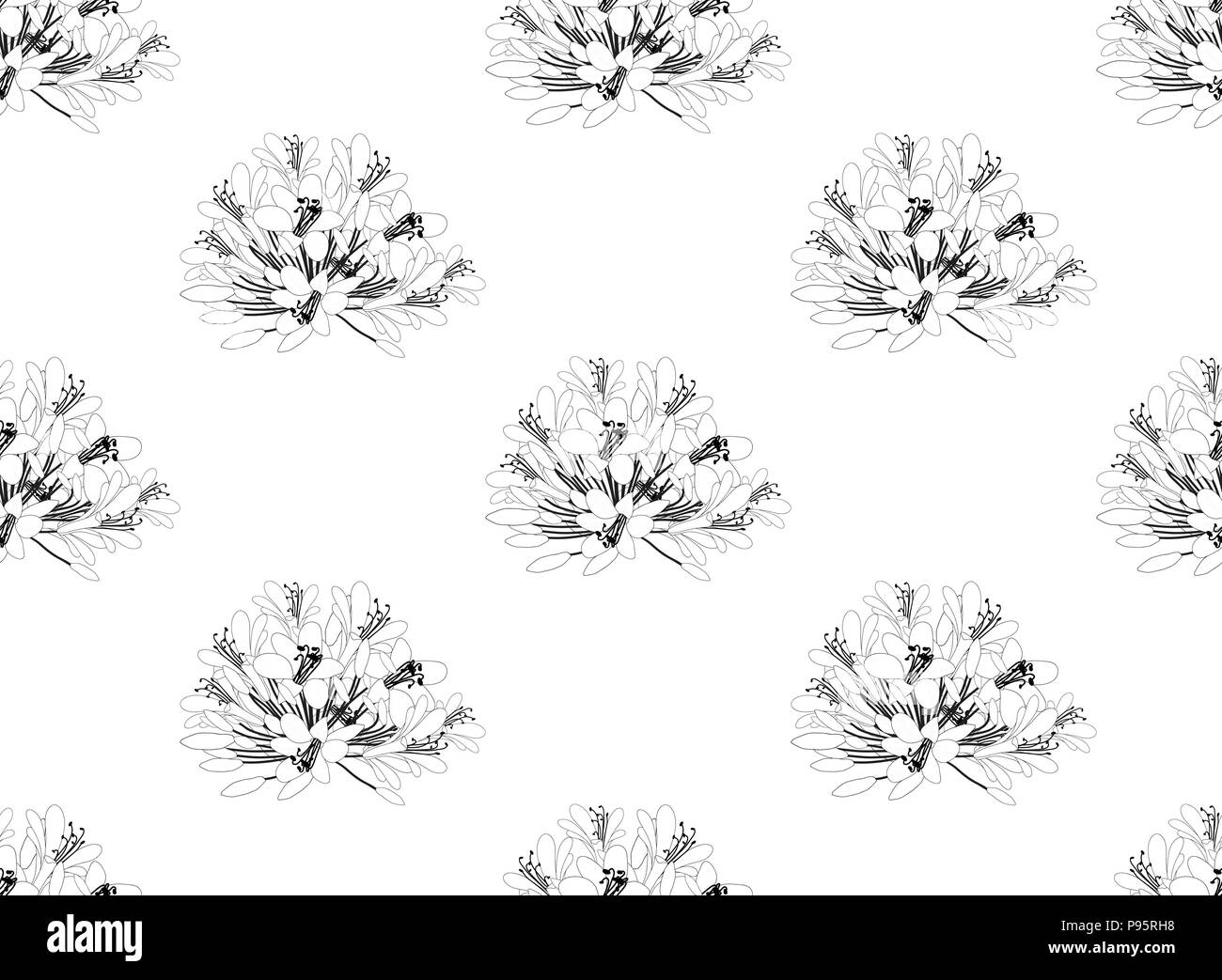 Agapanthus Seamless on White Background. Vector Illustration. Stock Vector