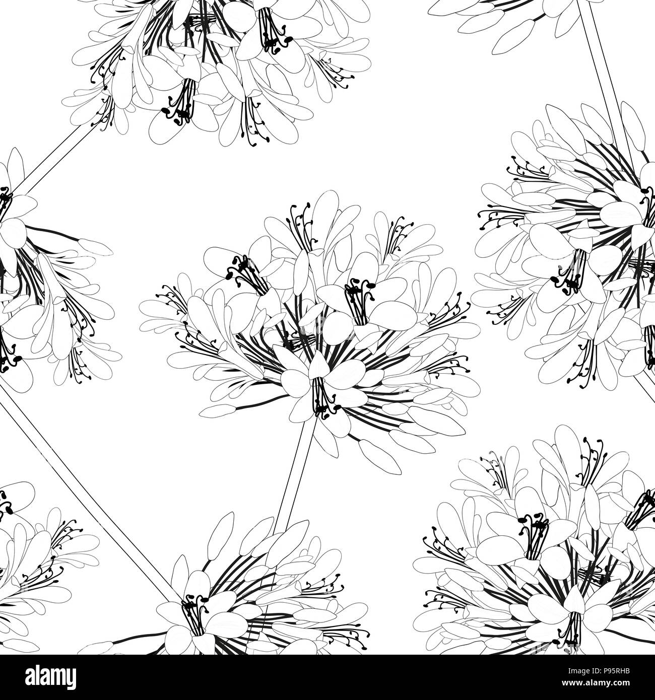 Agapanthus Seamless on White Background. Vector Illustration. Stock Vector
