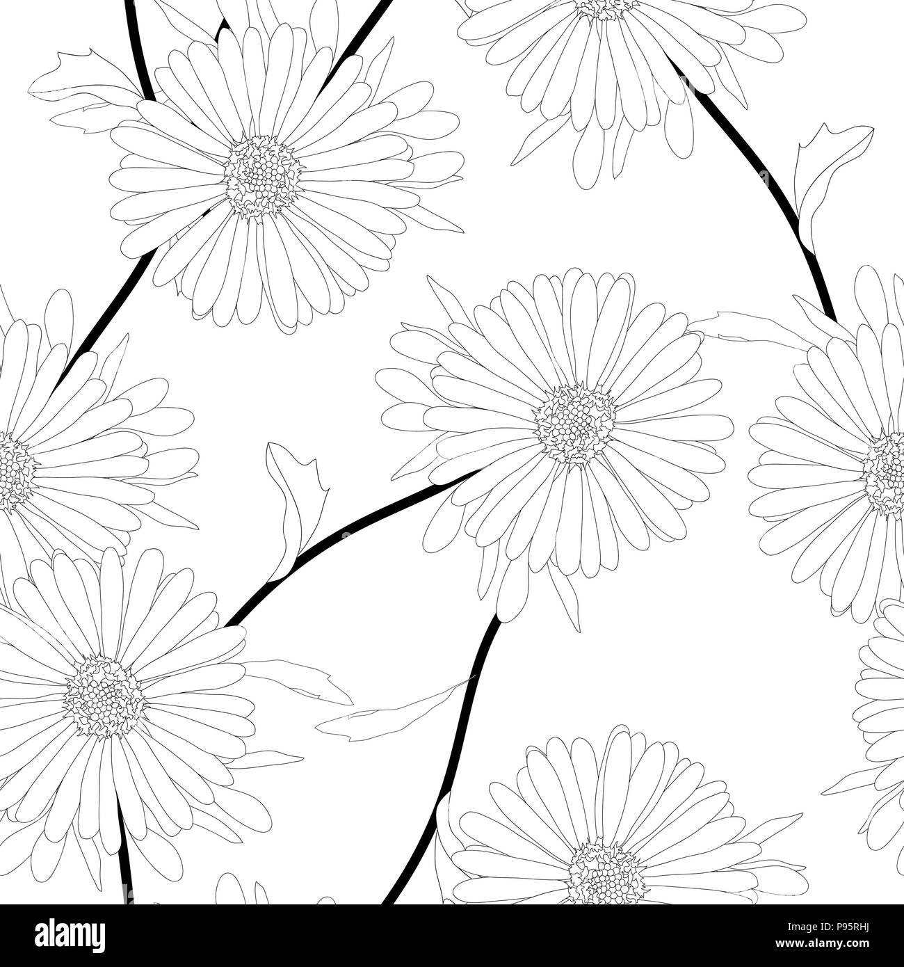 Aster background Black and White Stock Photos & Images - Alamy