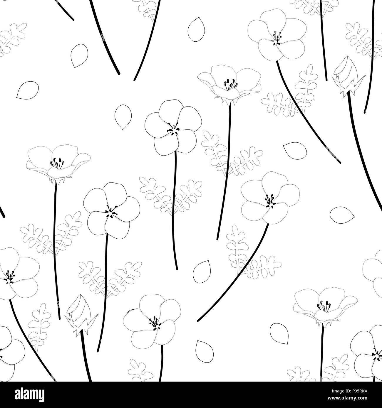 Nemophila Baby Blue Eyes Flower. Vector Illustration. on White Background. Stock Vector