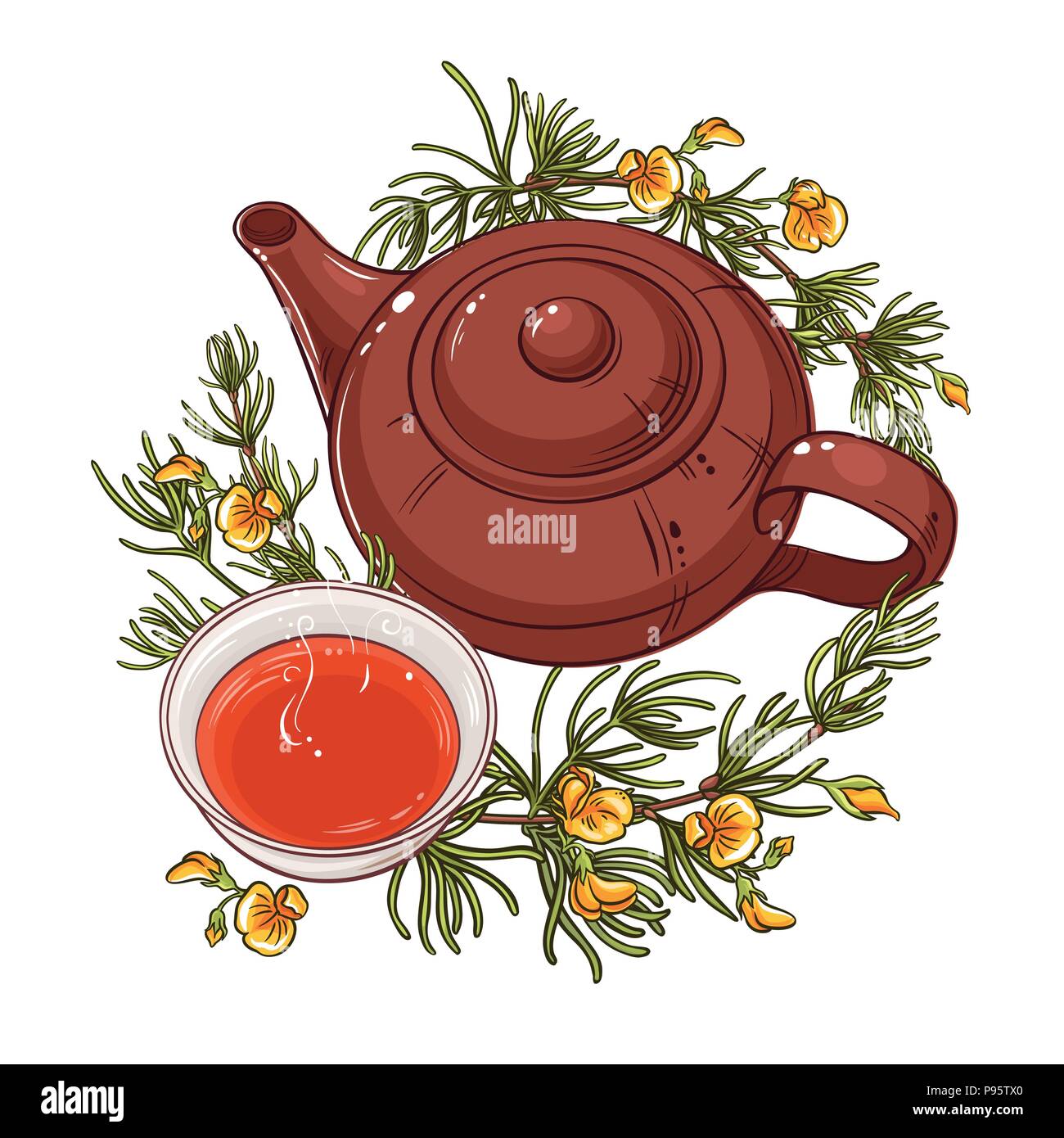 rooibos tea in teapot illustration on whte background Stock Vector