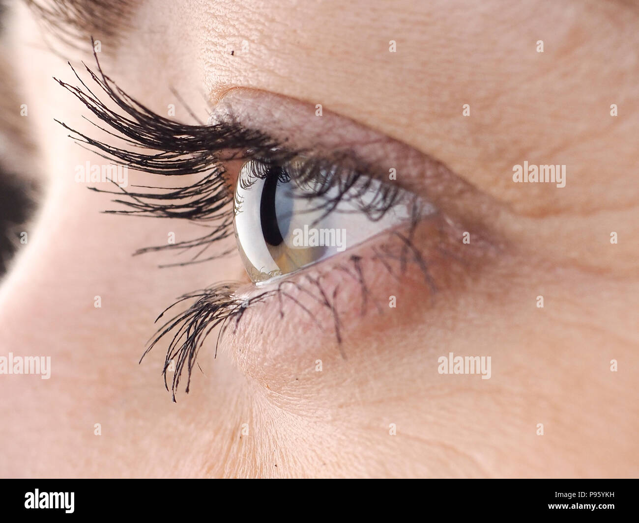 Close Up Of Eye The Human Eye Sideways Girl S Eyes With Big