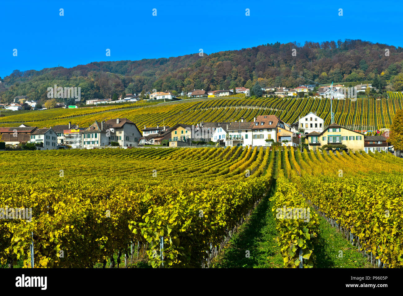 Rolle switzerland hi-res stock photography and images - Alamy