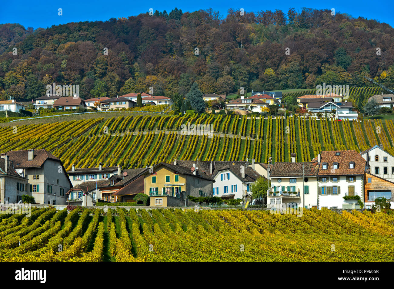 Mont sur rolle hi-res stock photography and images - Alamy