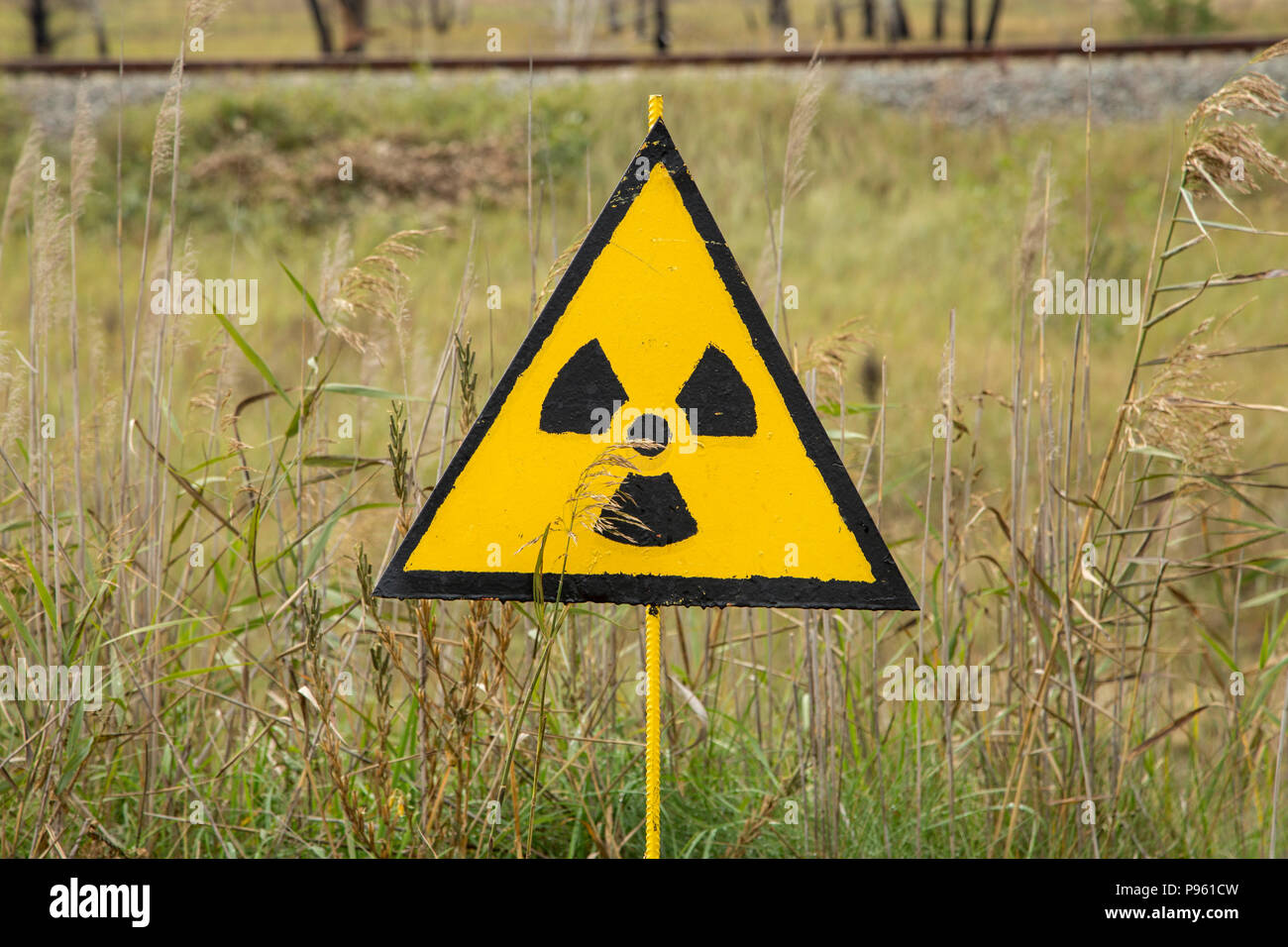 Red forest ukraine chernobyl hires stock photography and images Alamy