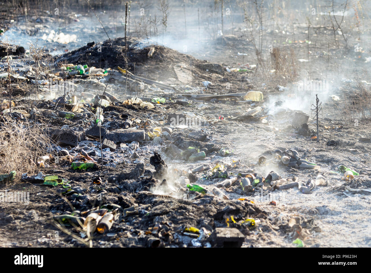 Burning garbage at illegal waste dump near forest. Black earth and