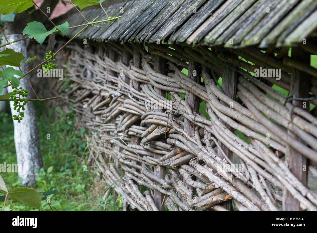Old Tree Branch Garden Fence Stock Photo Alamy