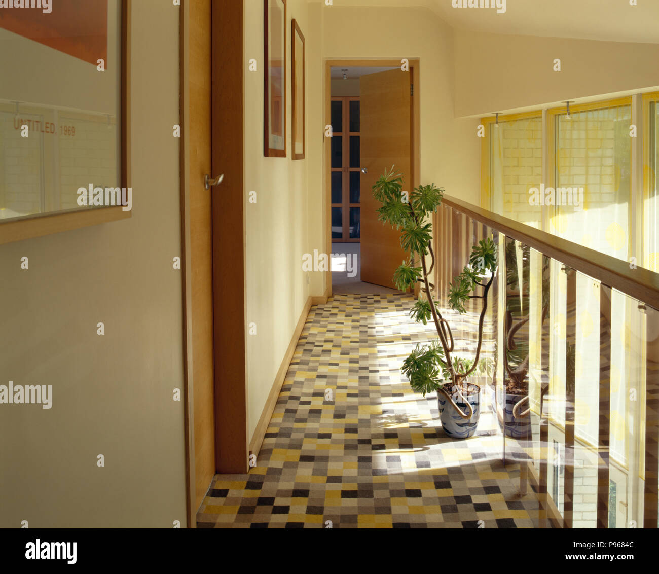 Checked patterned carpet on modern landing with tall houseplant Stock Photo