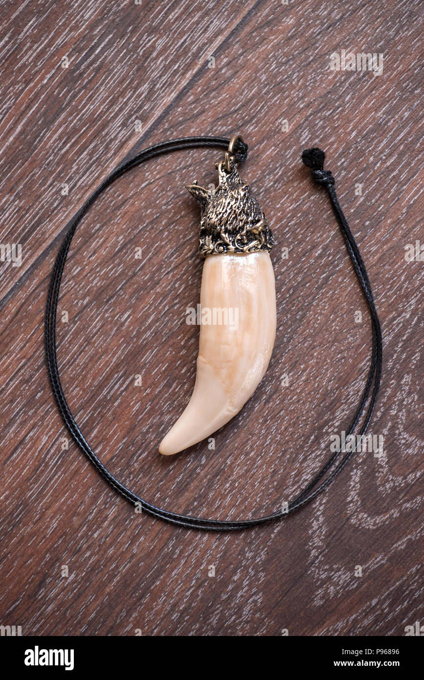 Big bear tooth and bone pendants carved from siberian deer on a brown background Stock Photo Alamy
