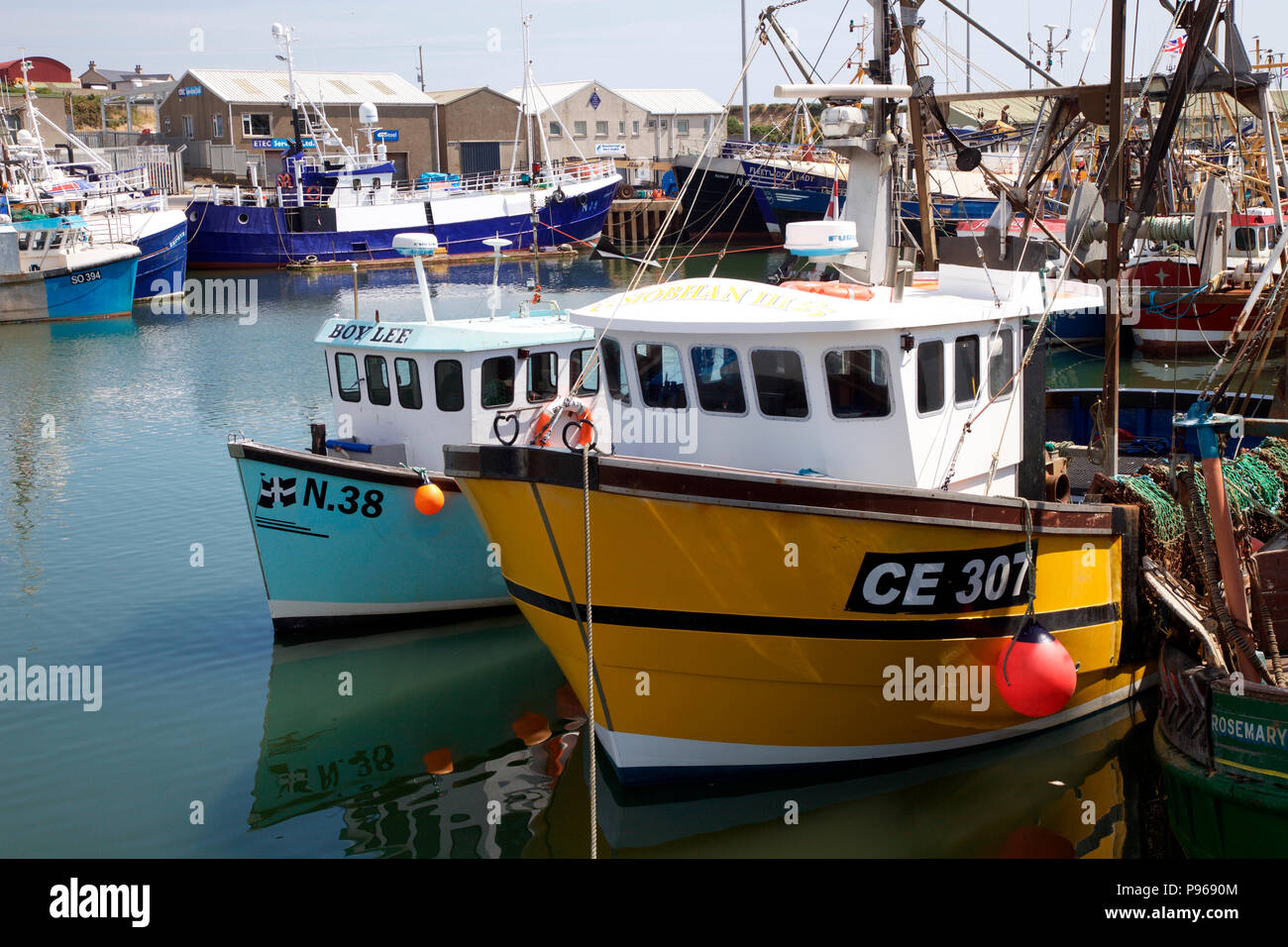 Fishing trawlers in Kilkeel Harbour, home to Northern Ireland’s largest fishing fleet Stock Photo