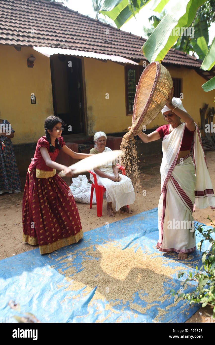 processing of husked rice;drying it naturally under the sun,then ...