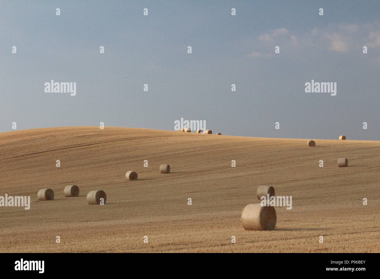 Straw round bales of hay in field with blue sky and clouds in English landscape Stock Photo