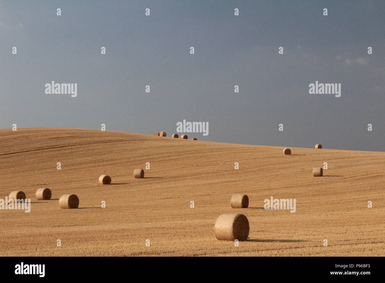 Straw round bales of hay in field with blue sky Stock Photo - Alamy