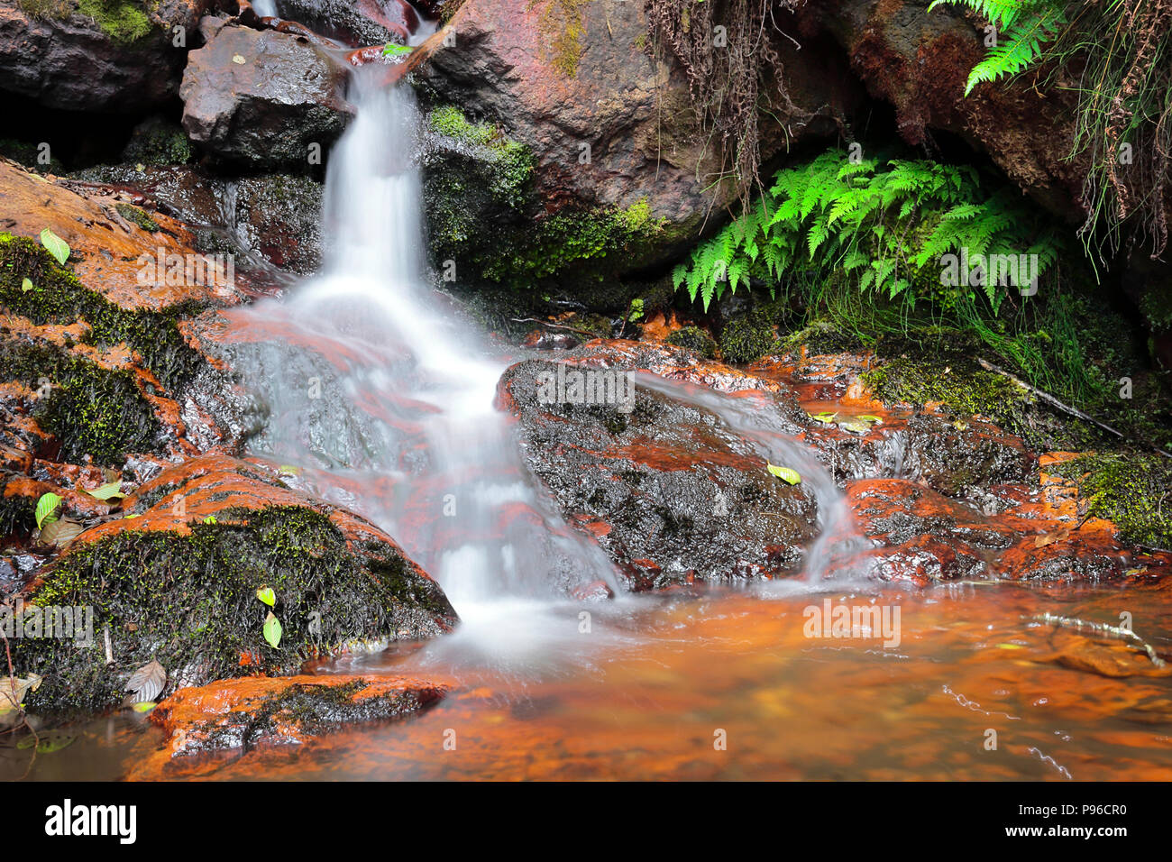 Pequeña caída de agua dentro del área de conservación privada
