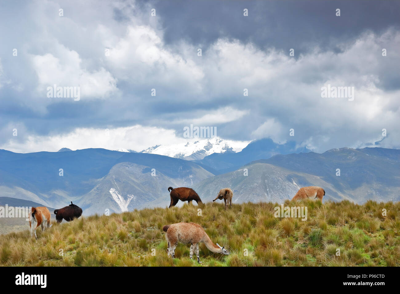 Flames and Andean landscape Stock Photo