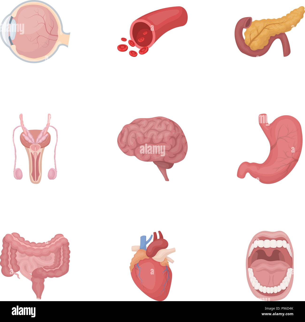 Organs set icons in cartoon style. Big collection of organs vector symbol stock Stock Vector