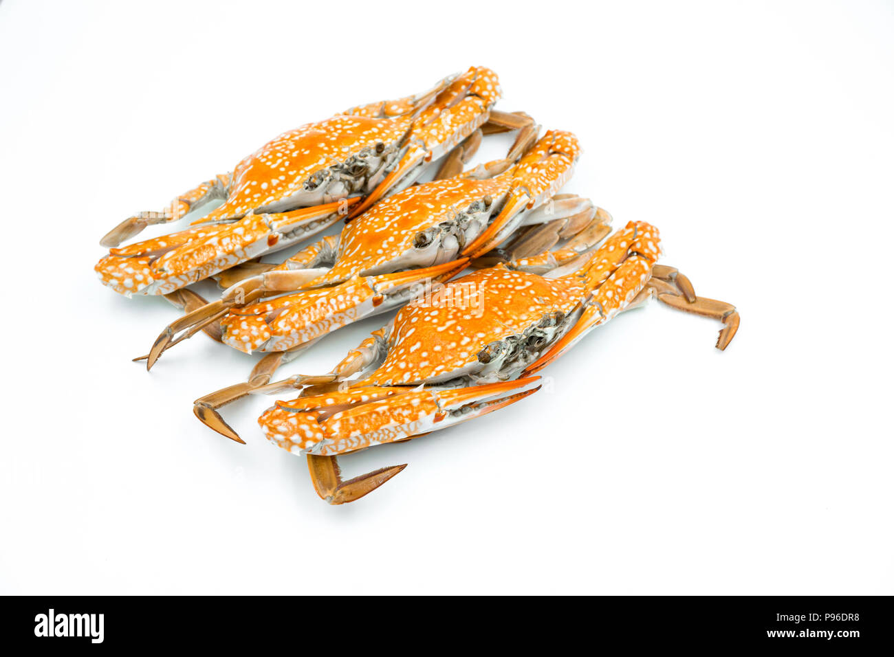 Hot steam crab on a white background. Stock Photo