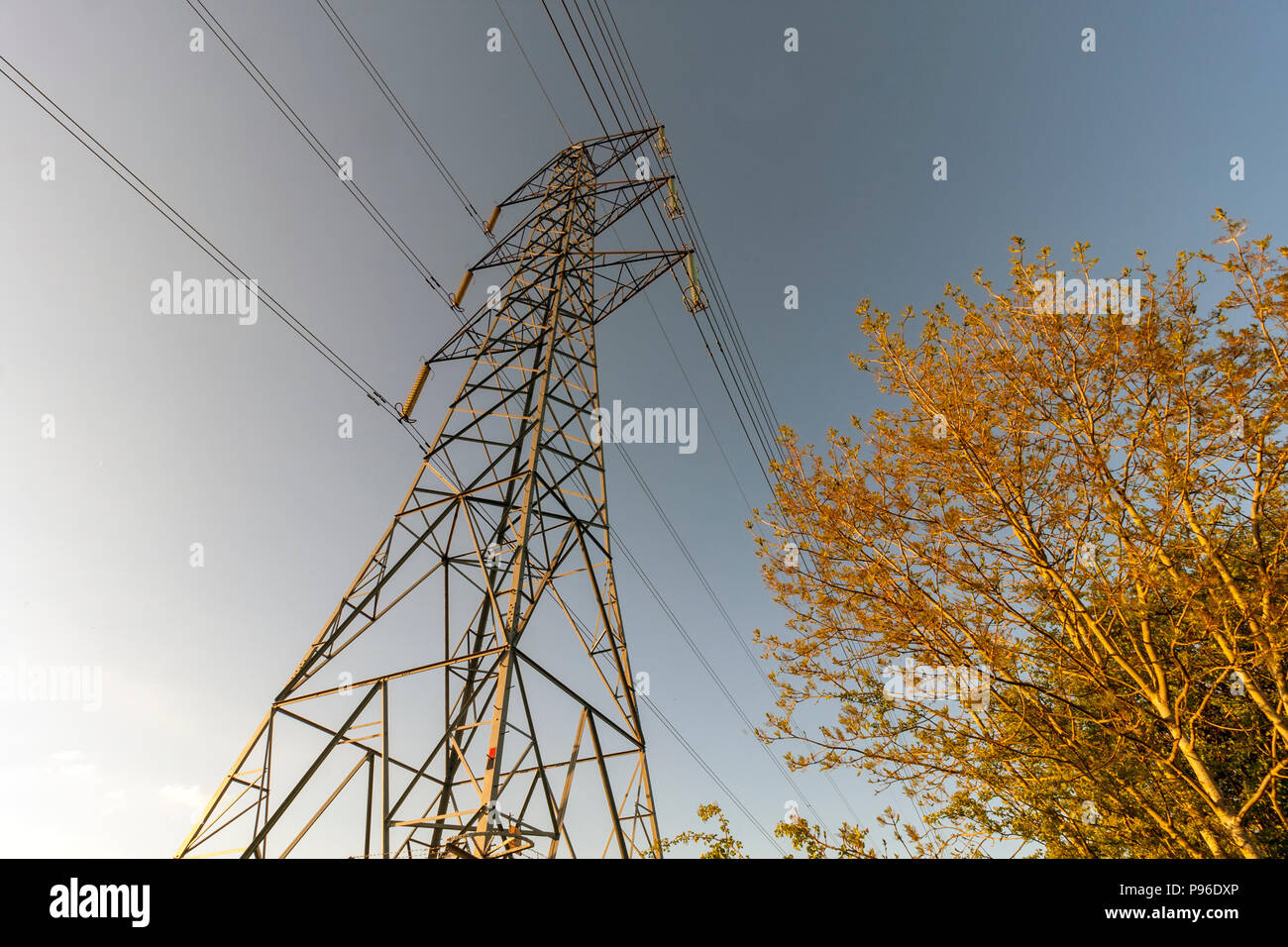 Electricity Pylon in the Countryside Stock Photo