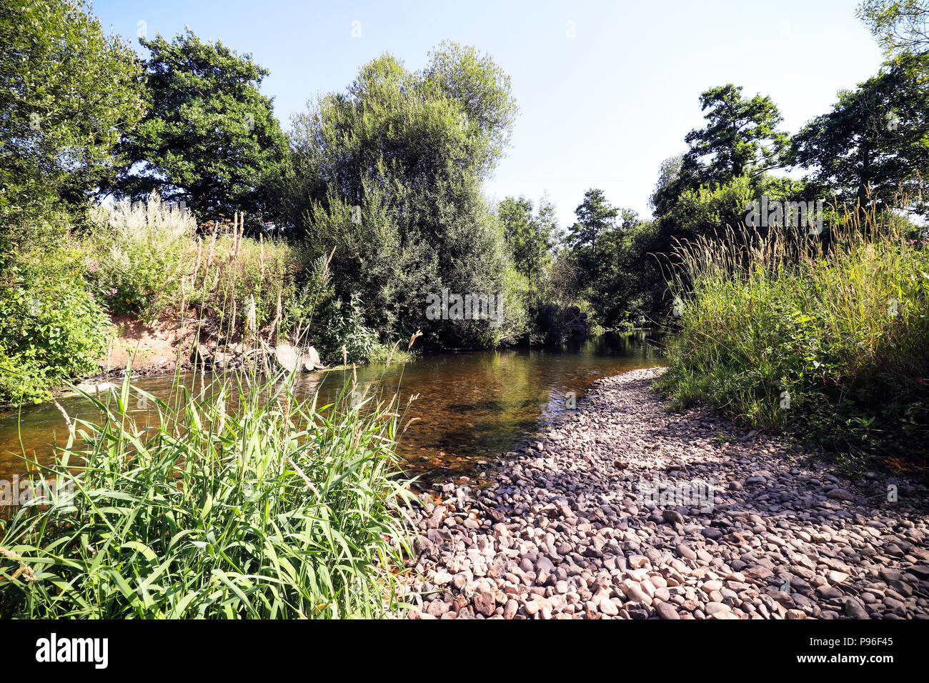 River Otter in Devon Stock Photo - Alamy