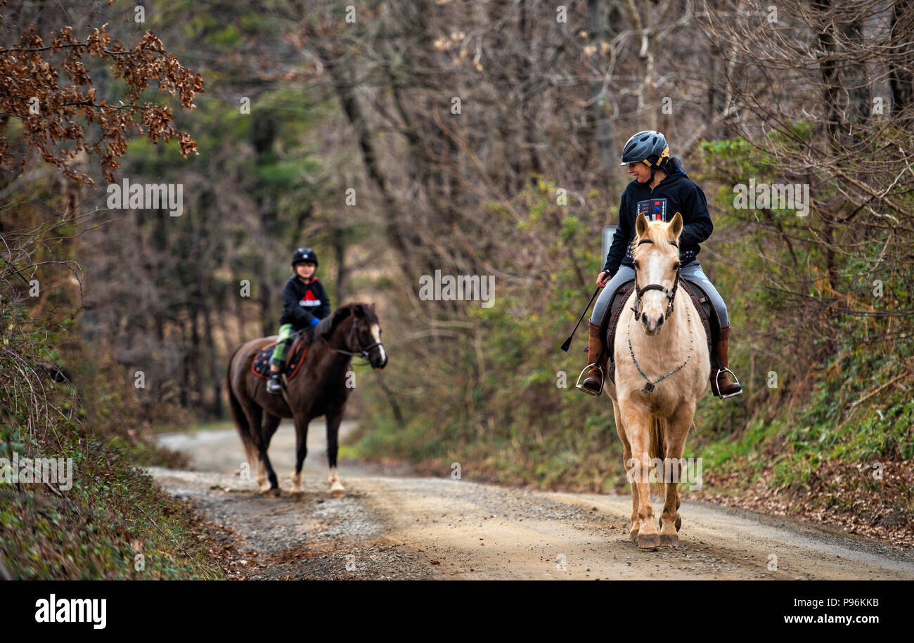 UNITED STATES 12262016 A little day after Christmas horse back