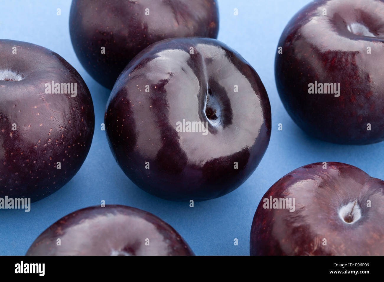 purple plum on blue background Stock Photo