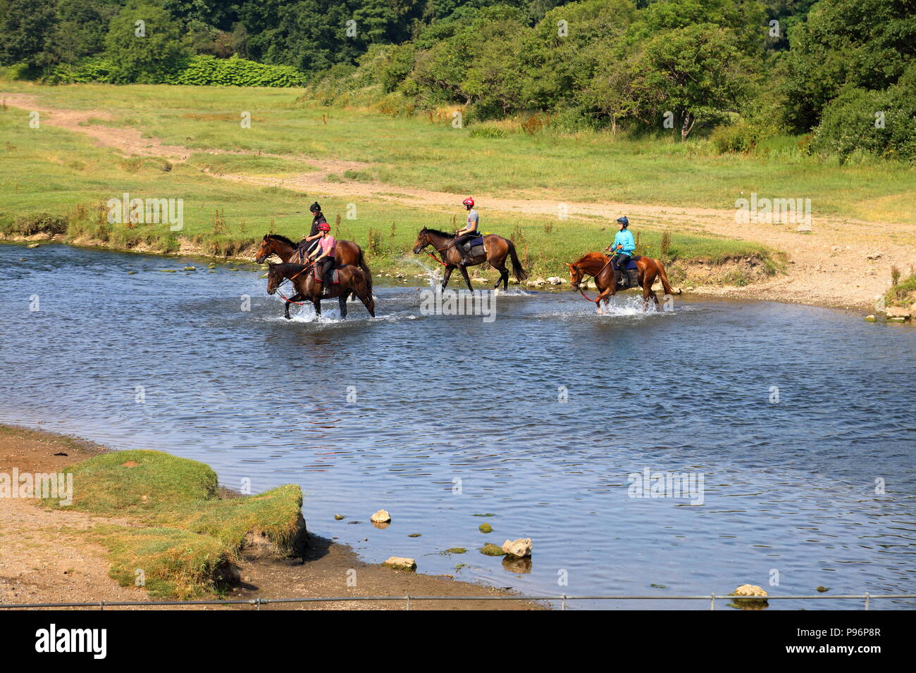 The horse riders return after a good gallop over Merthyr Mawr dunes and beach, slowly crossing