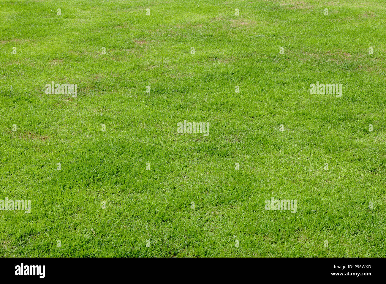 abstract background green grass texture Stock Photo - Alamy