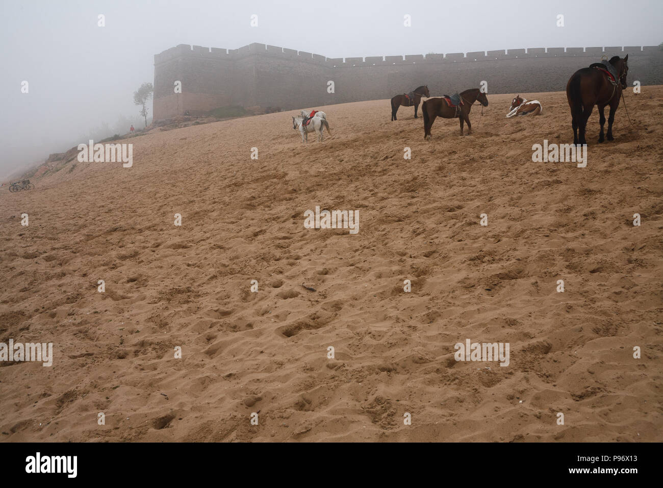 Old Dragon’s Head. The beginning (Laolongtou) of the Great Wall in the fog and grazing horeses on the beach. Qinhuangdao, China Stock Photo