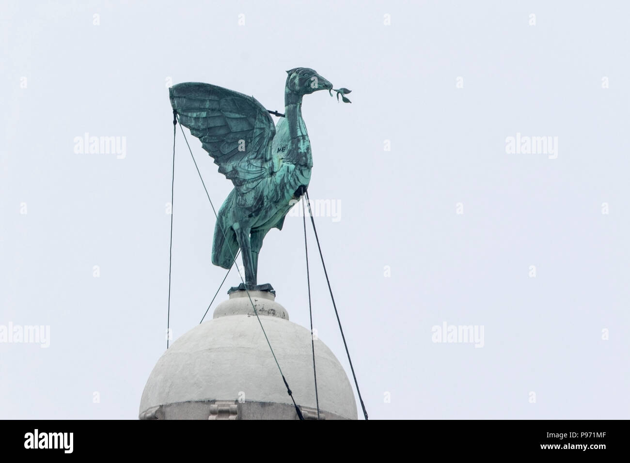close up of the Liver Birds on top of Liver Buildings in Liverpool at