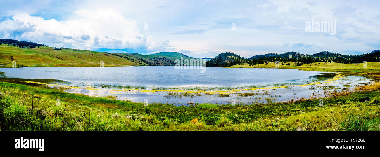 Stump lake hires stock photography and images Alamy