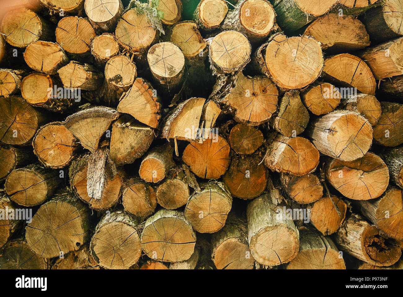 Wood logs background. Pile of cut tree wood as abstract natural ...