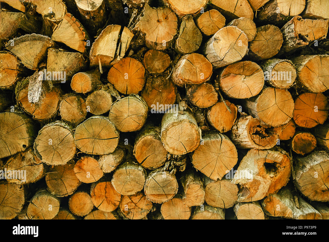 Wood logs background. Pile of cut tree wood as abstract natural ...