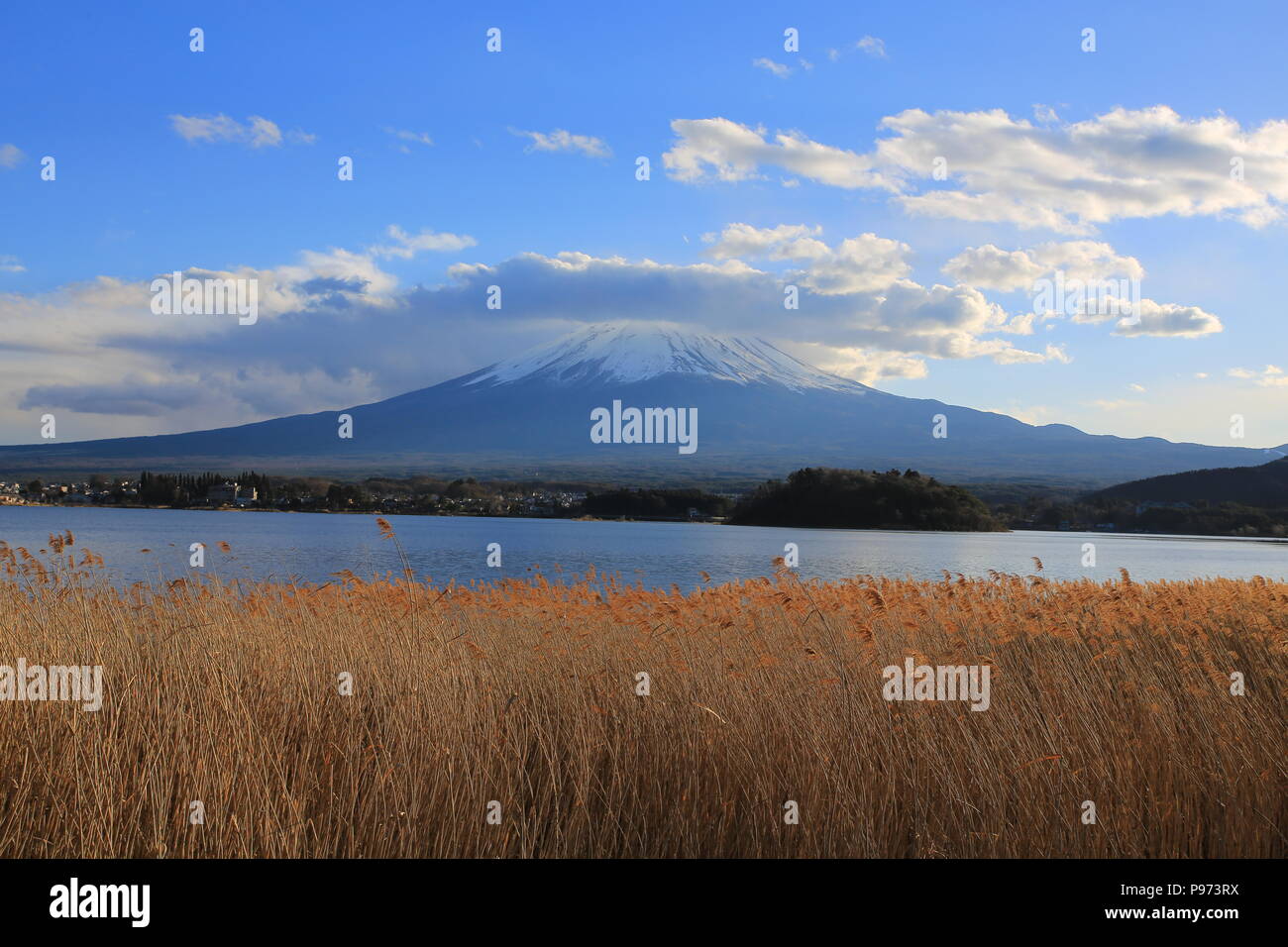 muji mountain meadow with lake view Stock Photo