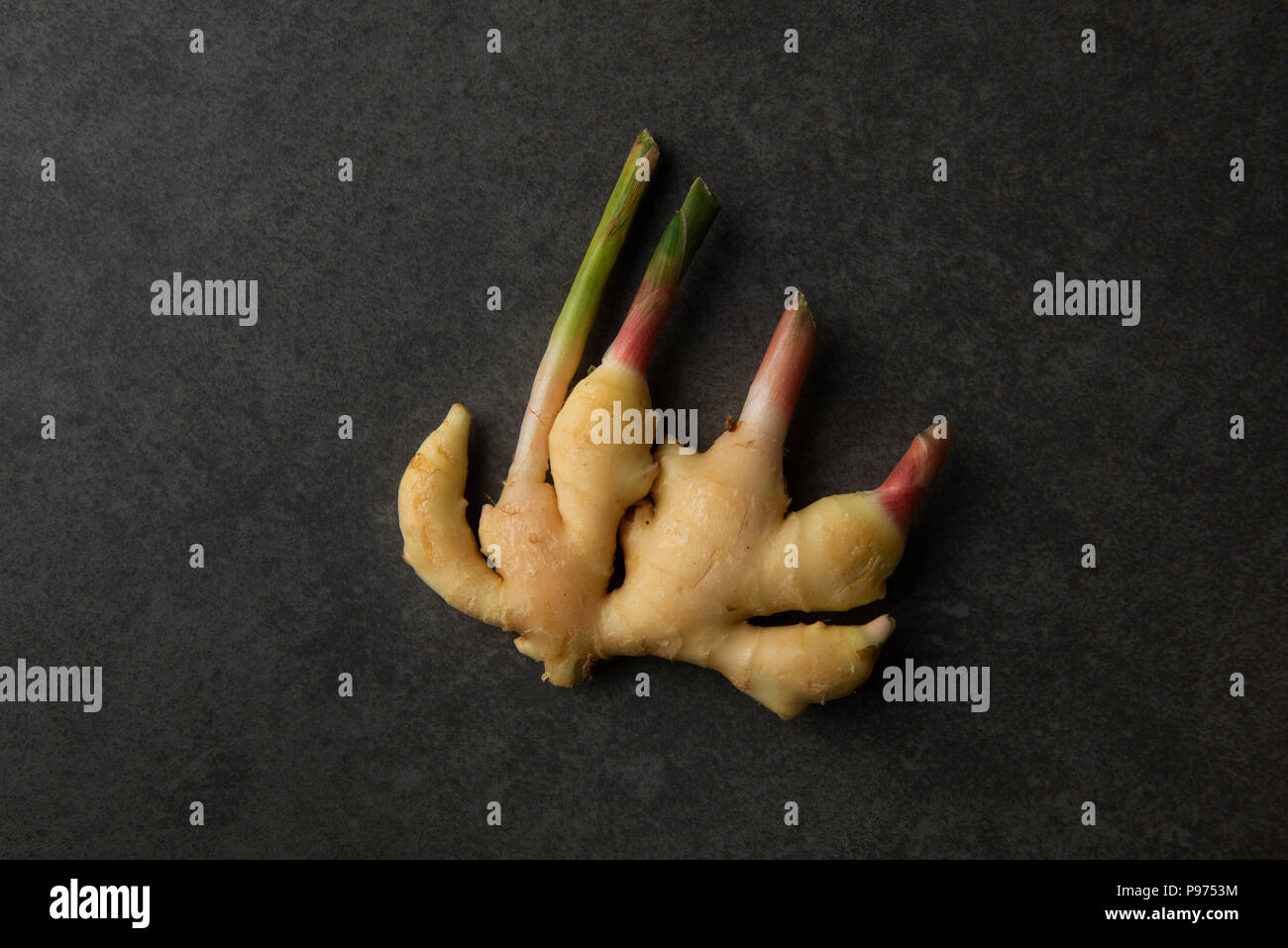 ginger on dark background Stock Photo