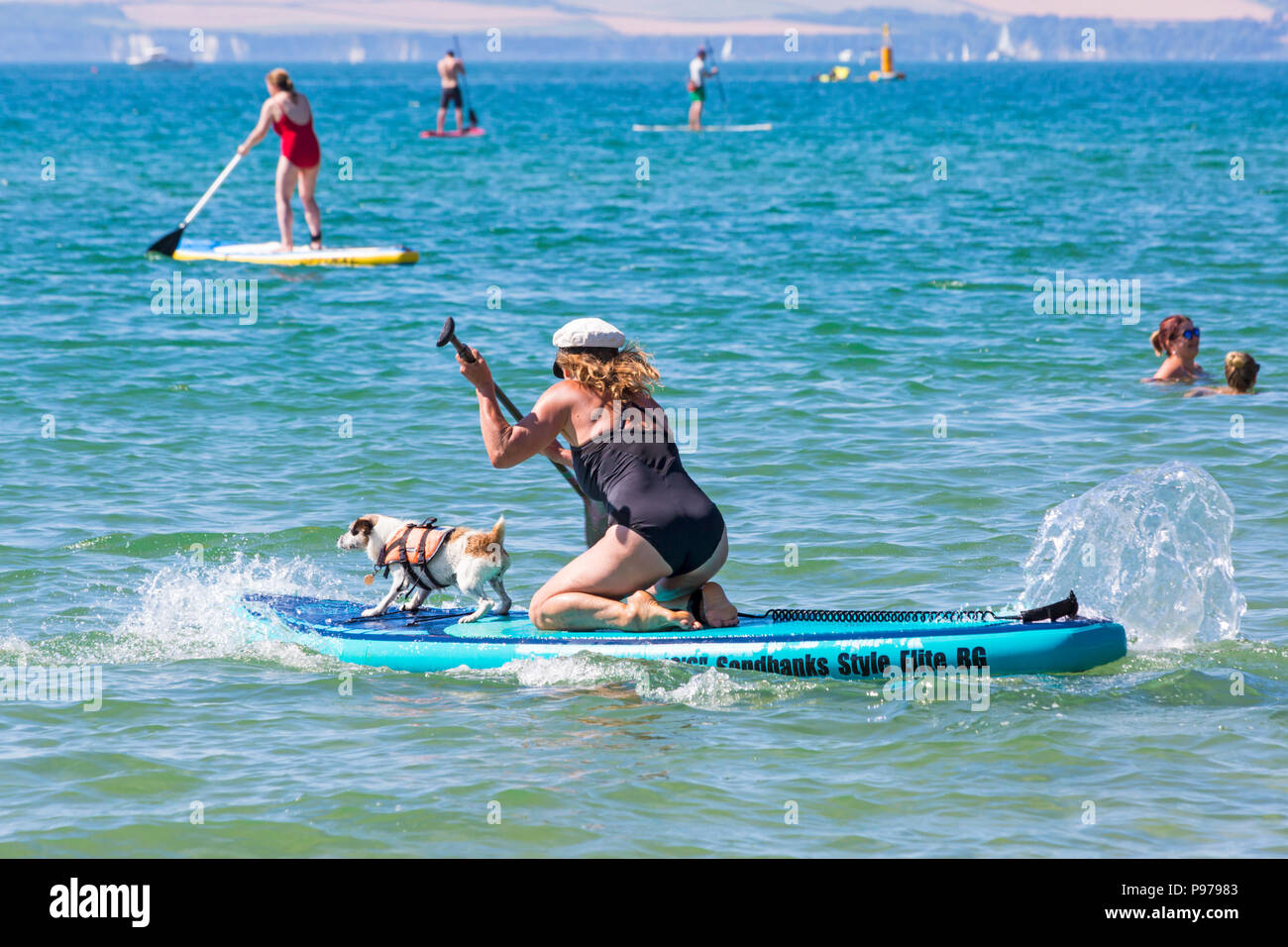 Branksome Dene, Poole, Dorset, UK. 15th July 2018. The UKs first Dog Surfing Championships, organised by Shaka Surf, takes place at Branksome Dene beach on a hot sunny day. Heats were held, with the winners going through to the quarter finals, semi finals and then the final to decide the winner. Tilly, the Jack Russell, was the runner up in 2nd place. Dog surfing with owner - Tilly on surfboard paddleboard. Credit: Carolyn Jenkins/Alamy Live News Stock Photo