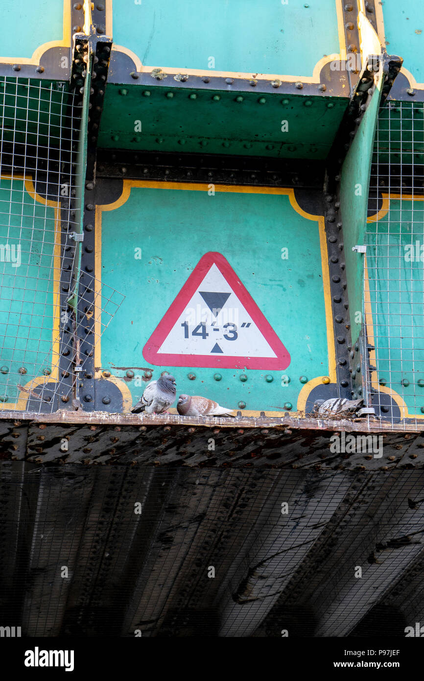 Height restriction sign on bridge with Pigeons nesting Stock Photo