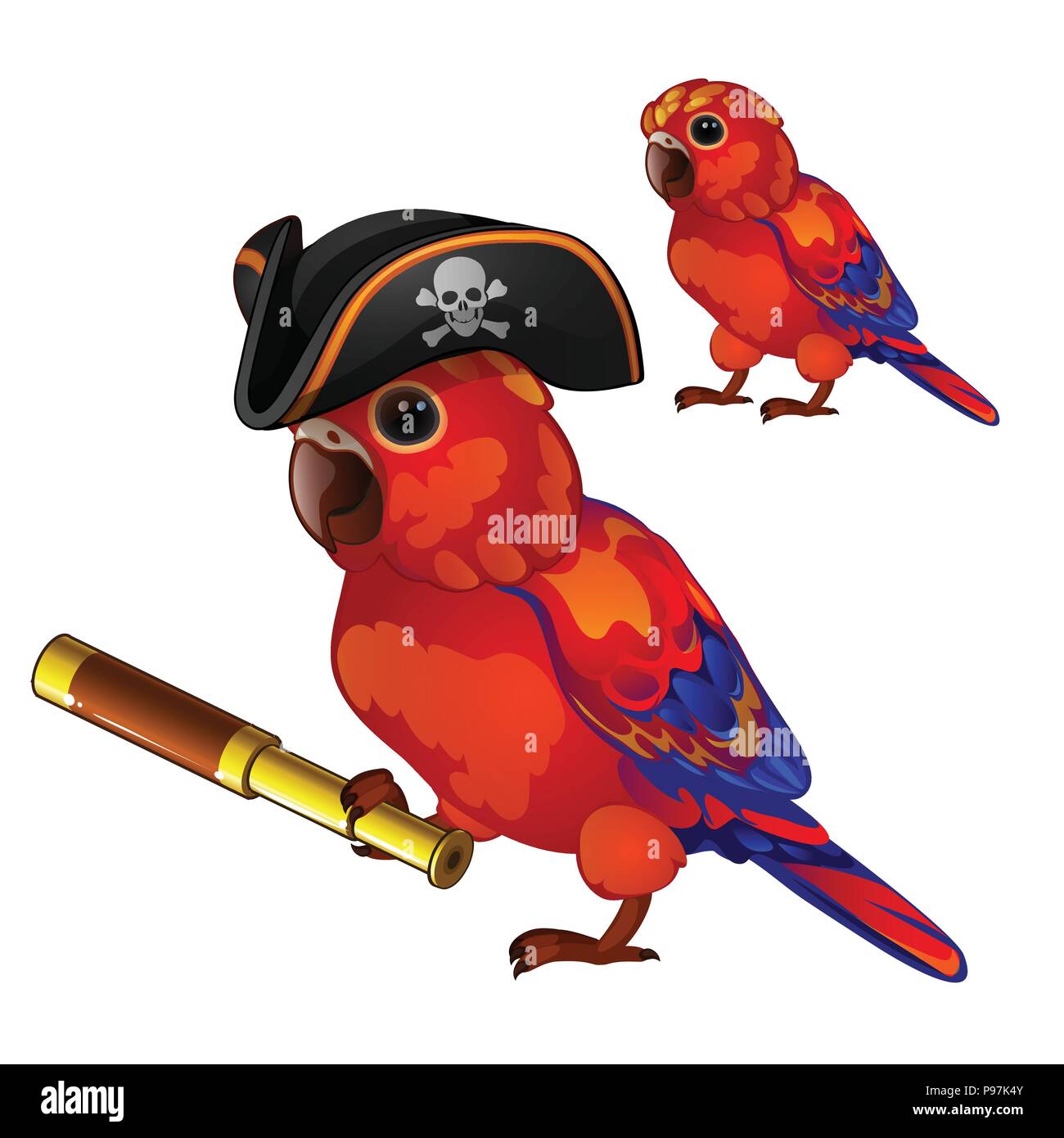 Red parrot in a cocked hat pirate with a telescope. Tropical tamed bird is isolated on a white background. Animated vector illustration. Stock Vector