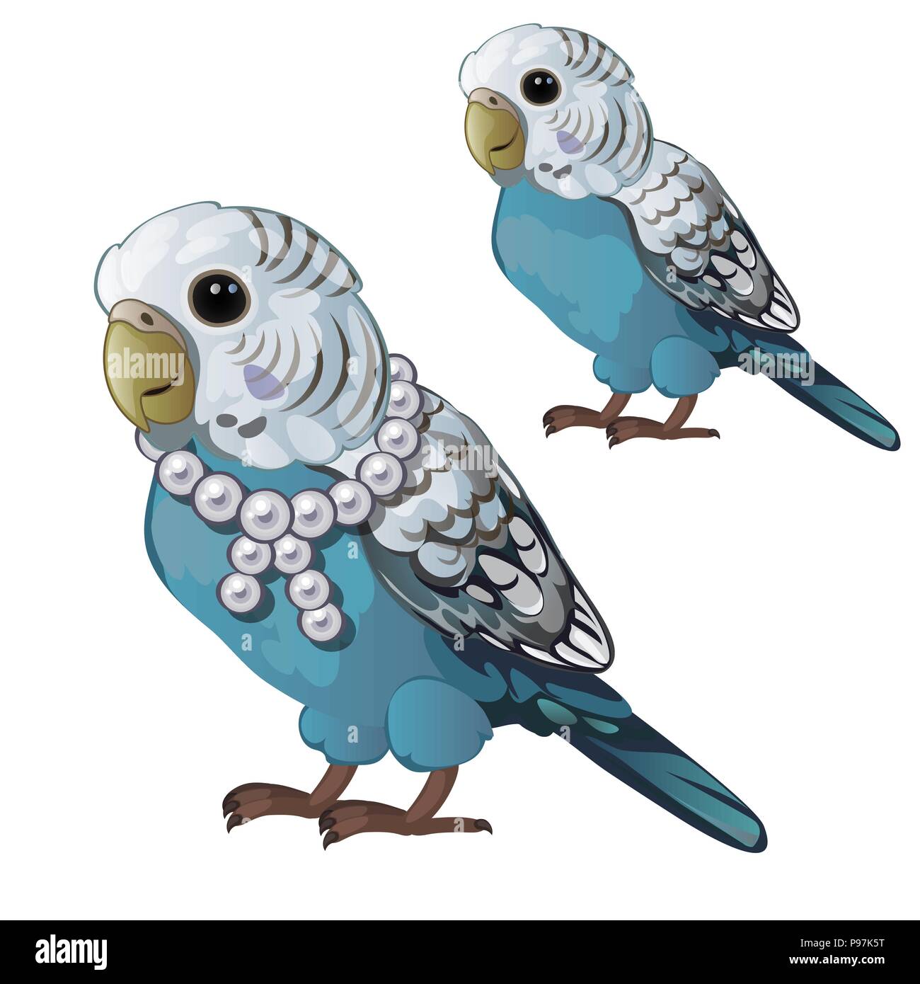 Secrets of the domestication of the hands of wavy parrots Secrets of the domestication of the hands of wavy parrots