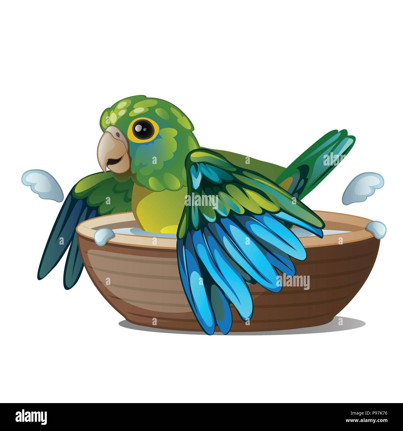 Green parrot bathing in a bowl of water isolated on a white background