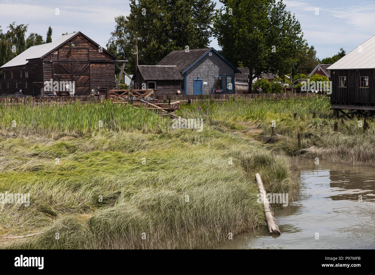 Overgrown slipway hires stock photography and images Alamy