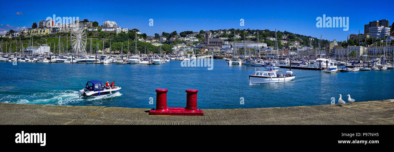 GB - DEVONSHIRE: Extreme panoramic view of Torquay busy harbour and town Stock Photo