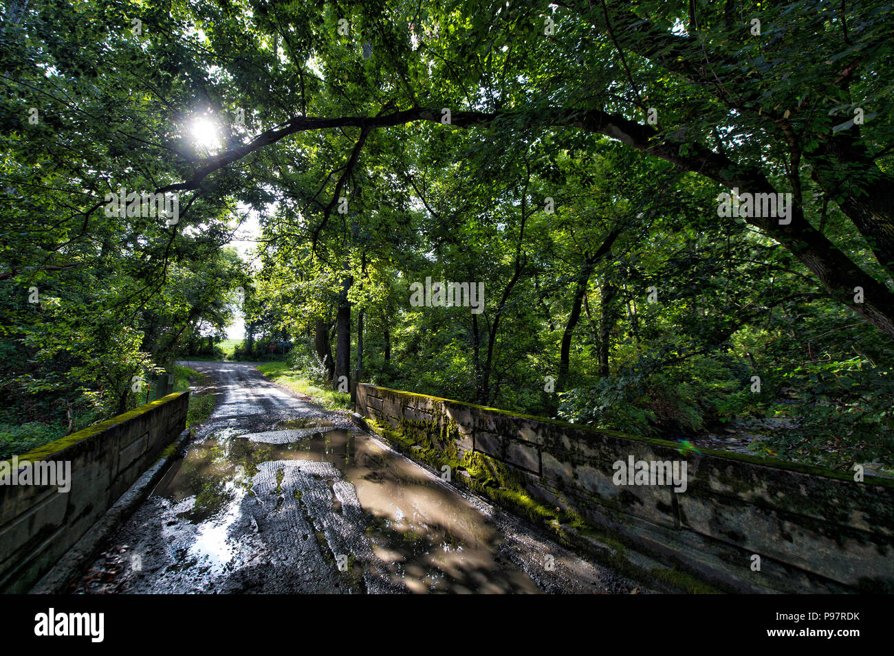 UNITED STATES August 30, 2017 Quaker Lane at the Beaverdam Creek