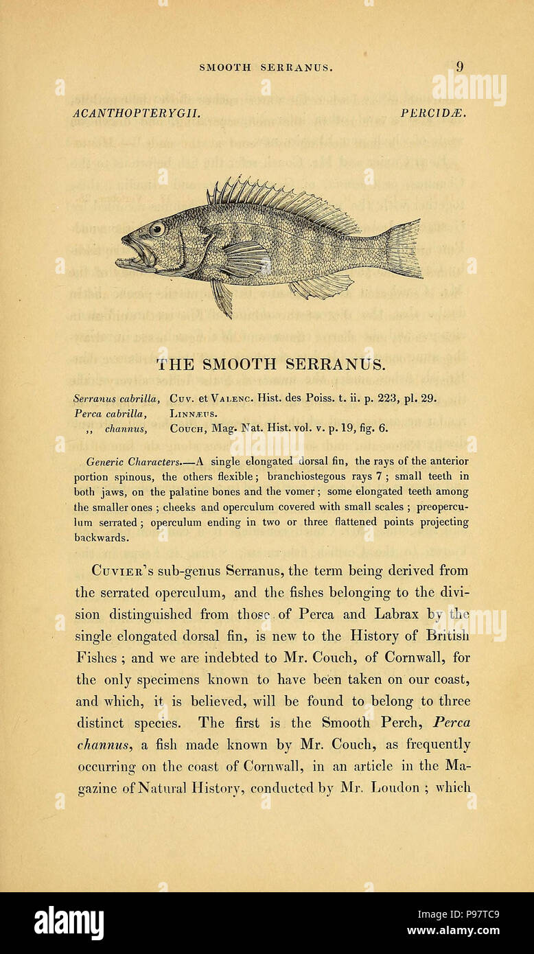 A history of British fishes (Page 9 Stock Photo - Alamy