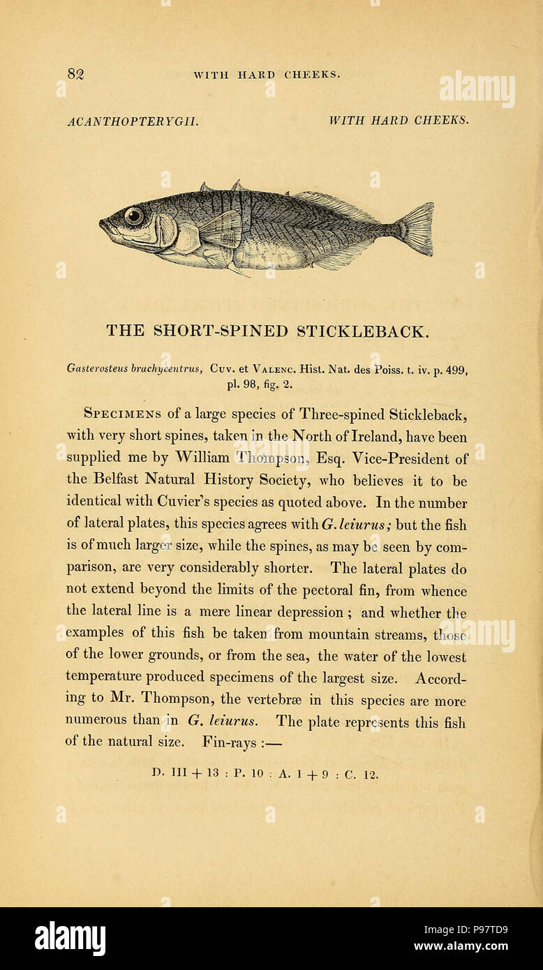 A history of British fishes (Page 82 Stock Photo - Alamy