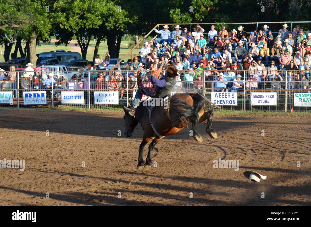 Bronc Busting at the Mason County Rodeo Stock Photo