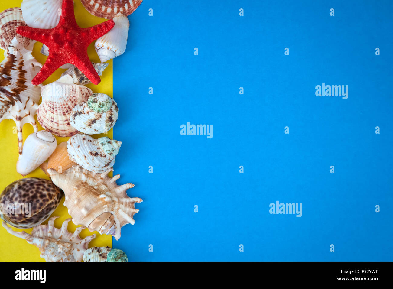 top view sea shells frame and starfish round empty blue board Stock ...