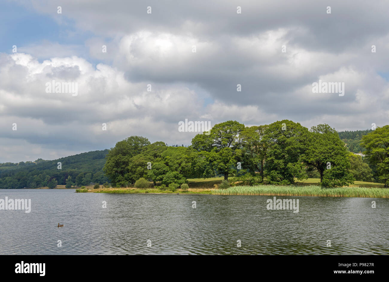 Esthwaite Water in the Lake District National Park, Cumbria Stock Photo